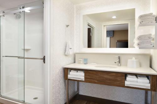 a bathroom with a sink and a shower at Hampton Inn Clewiston in Clewiston