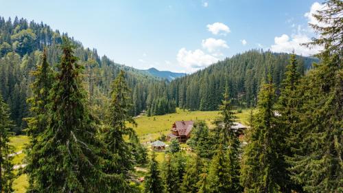 Gallery image of ViiLa Munte Călimani in Topliţa