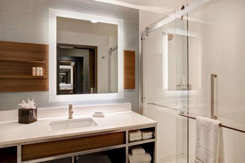 La salle de bains est pourvue d'un lavabo et d'une douche. dans l'établissement Hilton Garden Inn Summerville, Sc, à Summerville