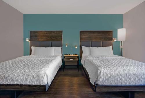 ノックスビルにあるTru By Hilton Knoxville West Turkey Creekの青い壁のドミトリールーム ベッド2台