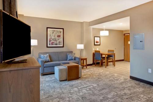 a living room with a couch and a flat screen tv at Homewood Suites By Hilton Summerville in Summerville