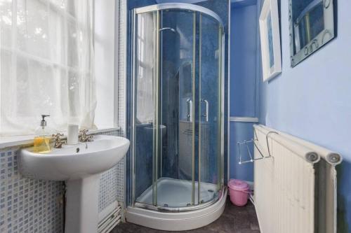 a blue bathroom with a shower and a sink at Dunham House in Newark-on-Trent