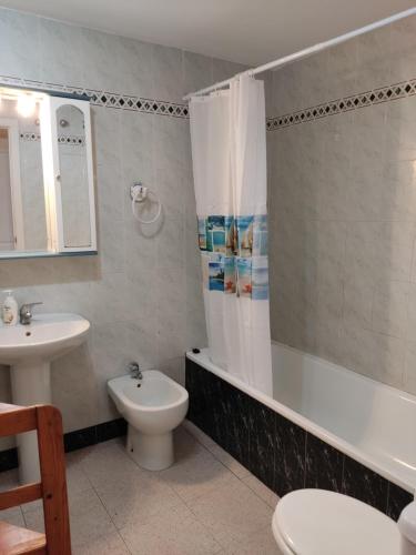 y baño con aseo, lavabo y ducha. en Piso Loli, en Málaga