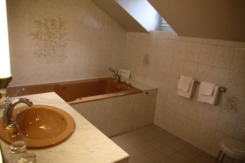 a bathroom with a sink and a bath tub at Château Des Bondons EI in La Ferté-sous-Jouarre