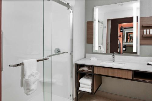 bagno con doccia, lavandino e specchio di Hilton Garden Inn Chandler Downtown a Chandler