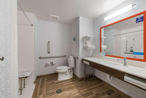 a bathroom with a sink and a toilet and a mirror at Hampton Inn Niles, Mi in Niles