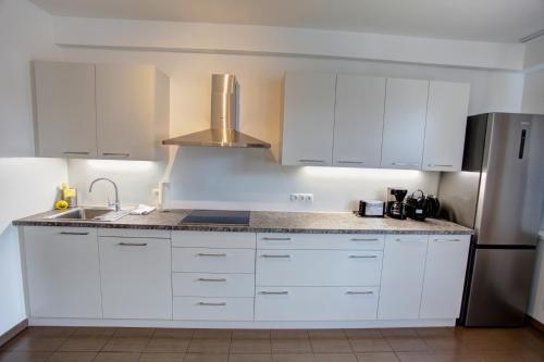 Η κουζίνα ή μικρή κουζίνα στο Gasser Apartments - Apartments Karlskirche