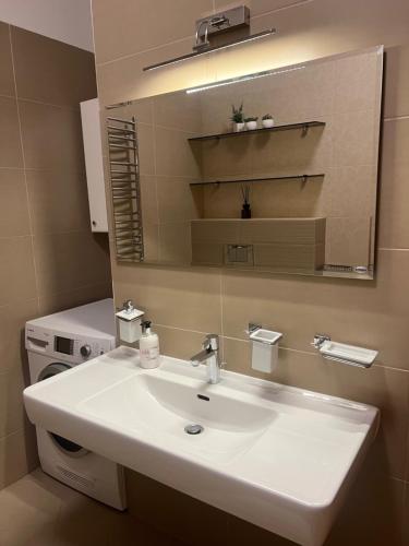 a bathroom with a white sink and a mirror at Sausoji Apartment in Druskininkai