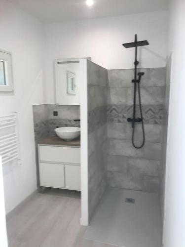 une salle de bain avec douche et lavabo dans l'établissement studio centre ville avec jardin, à Sainte-Maxime