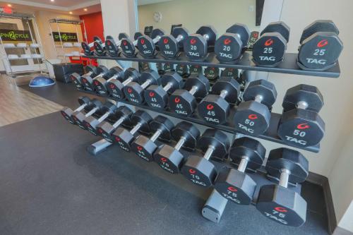 a row of dumbbells on display in a gym at Home2 Suites By Hilton Cumming Atlanta, Ga in Cumming