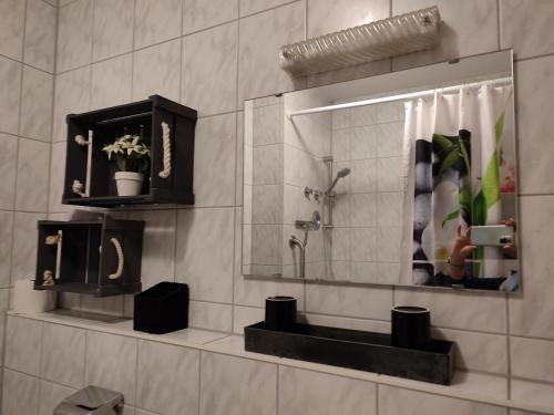 ein Badezimmer mit einem Spiegel, einem Waschbecken und einer Dusche in der Unterkunft Ferienwohnanlage Sonnenwald in Langfurth 