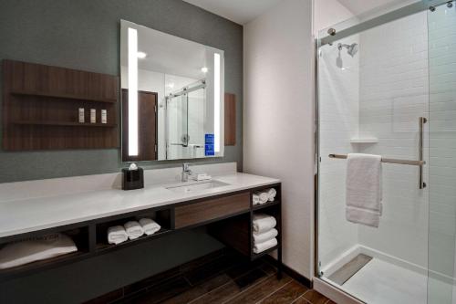 uma casa de banho com um lavatório e um chuveiro em Hilton Garden Inn Kalamazoo Downtown em Kalamazoo