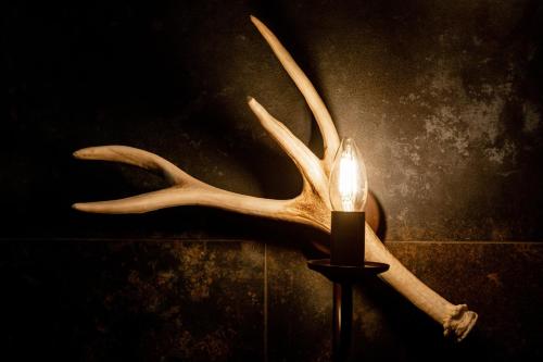 a candle with antlers attached to a wall at Ku Dolinie in Kościelisko