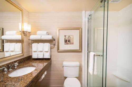 y baño con aseo, lavabo y ducha. en Hilton Garden Inn Hanover Arundel Mills, MD en Hanover