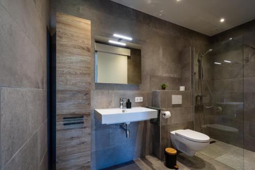 een badkamer met een wastafel, een toilet en een douche bij Boerderijkamer de Hooizolder in Wijhe