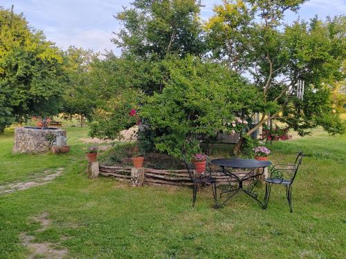 a table and chairs in the grass in a yard at Chambres d' Hôtes des Glands ' heures in Saint-Martin-de-Gurçon