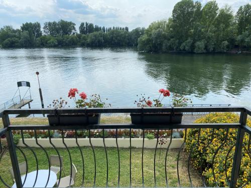 Gite Seine de Plumes – Photos 4