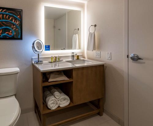 Bilik mandi di Doubletree By Hilton Madison East