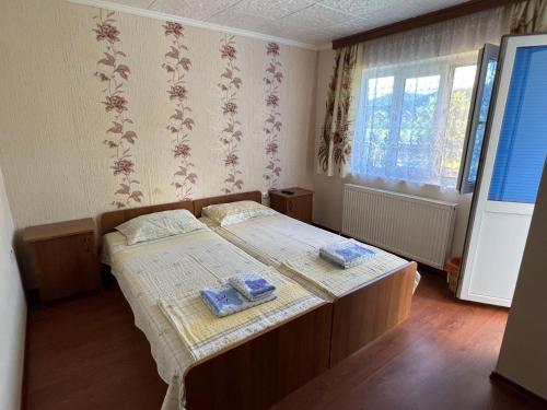 1 dormitorio con 2 camas y ventana en Vacation Home Yoanna, en Tryavna