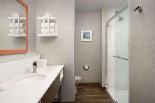Un baño con inodoro, lavabo y ducha. en Hampton Inn Warroad, MN, en Warroad