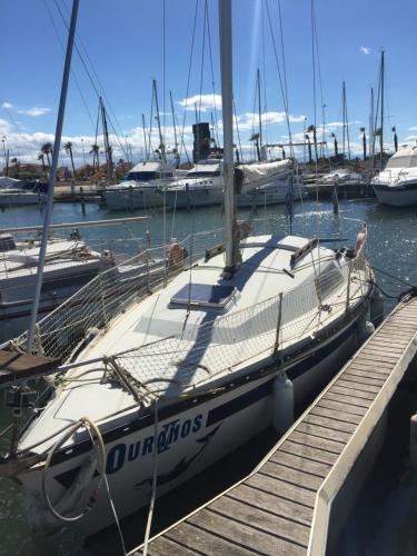 un voilier amarré à un quai avec d'autres bateaux dans l'établissement Petit voilier à quai Port Barcares, au Barcarès