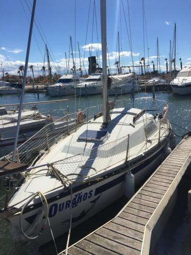 a sail boat docked at a dock with other boats at Petit voilier à quai Port Barcares in Le Barcarès