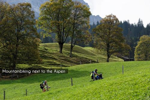 a group of people walking in a grassy field at Aspen Alpine Lifestyle Hotel in Grindelwald