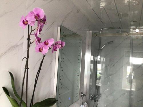 a vase of pink flowers in front of a shower at Océan Waves in Gorleston-on-Sea