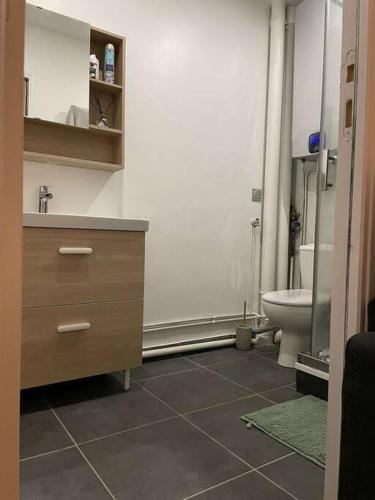 une salle de bain avec un lavabo et des toilettes dans l'établissement Studio cosy à 25mn de Paris, à Argenteuil
