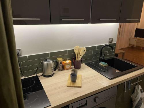 - une cuisine avec un comptoir, un évier et une cuisinière dans l'établissement Studio cosy à 25mn de Paris, à Argenteuil