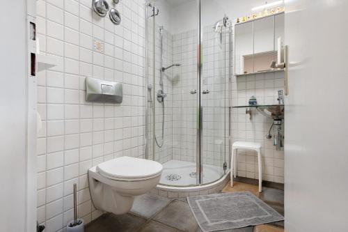 e bagno con doccia, servizi igienici e lavandino. di Ado Ferienwohnung a Grafenhausen