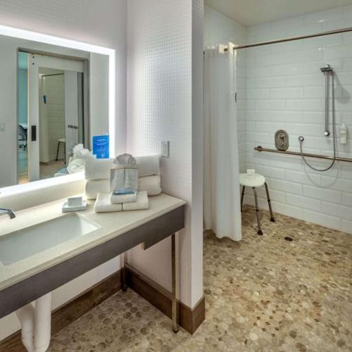 y baño con lavabo, espejo y ducha. en Hampton Inn & Suites South Lake Tahoe en South Lake Tahoe