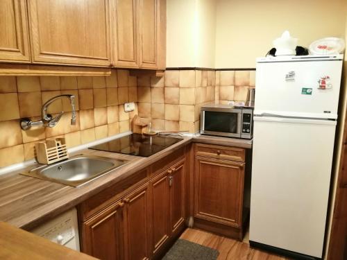 a kitchen with a white refrigerator and a sink at Apartamento con jardín Isard 1 in Pla de l'Ermita