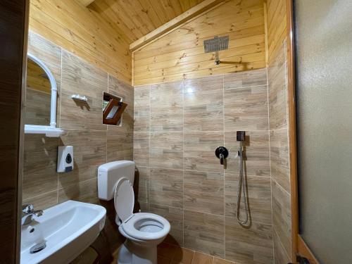 ein Bad mit einer Dusche, einem WC und einem Waschbecken in der Unterkunft Uji i Panjes Llogara in Vlorë