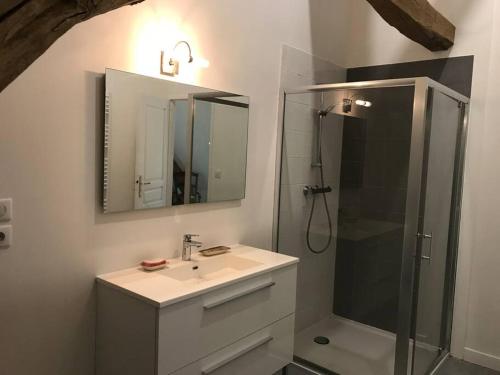 ein Bad mit einem Waschbecken und einer Dusche mit einem Spiegel in der Unterkunft Belle dépendance du château : LE LOGIS in Ardentes