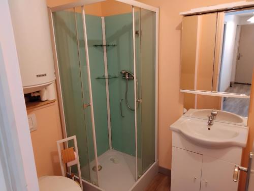 une douche dans une salle de bain avec toilettes et lavabo dans l'établissement T3 HYPER CENTRE MONT-DORE, à Le Mont-Dore