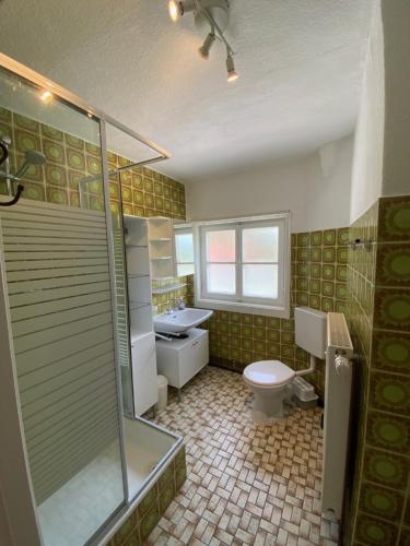 uma casa de banho com um chuveiro, um WC e um lavatório. em Forsthaus Reit im Winkl em Reit im Winkl