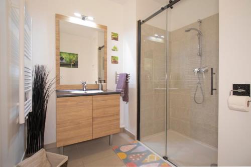 uma casa de banho com um lavatório e um chuveiro em LE JARDIN DES POMMIERS A DISNEYLAND CHESSY em Chessy
