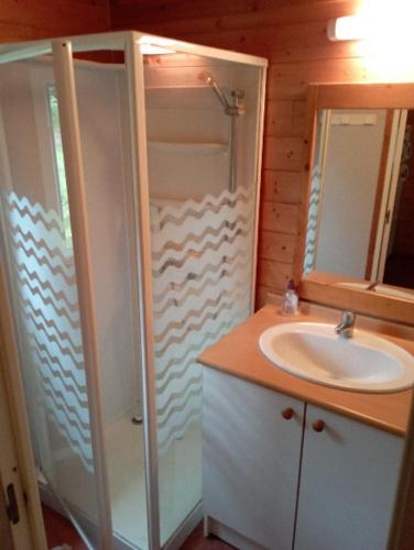 une salle de bain avec un lavabo, une douche et un miroir dans l'établissement Chalet les Hameaux du Perrier, à Lissac-sur-Couze