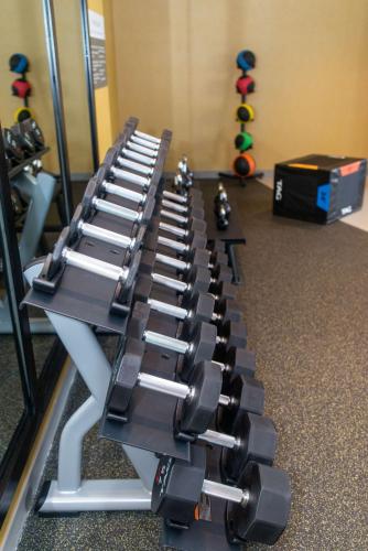 a row of dumbbells lined up in a gym at Hilton Garden Inn Mattoon, IL in Mattoon