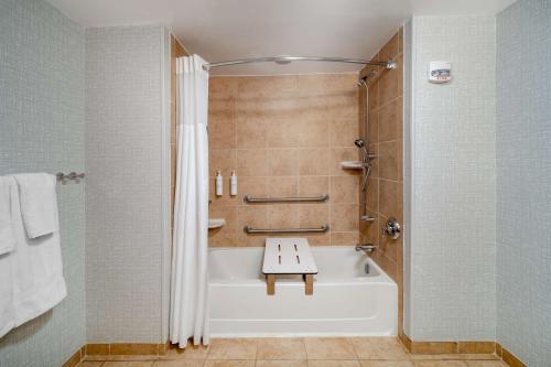 ein Bad mit einer Badewanne und einer Dusche mit einem Waschbecken in der Unterkunft Hampton Inn & Suites Salida, CO in Salida