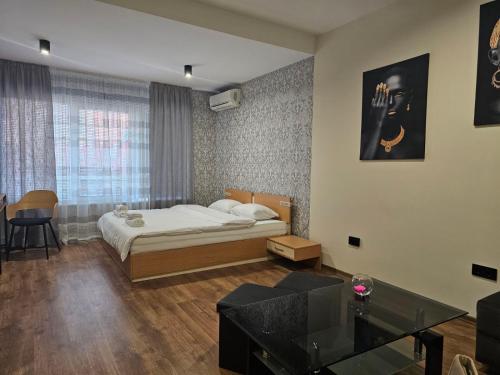 1 dormitorio con 1 cama y sala de estar en Studio MIRAGE, en Kazanlak