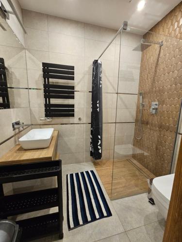 a bathroom with a shower and a sink and a toilet at Villa Alexandra in Polanica-Zdrój