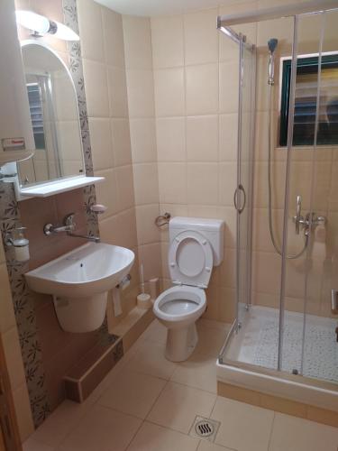 a bathroom with a toilet and a sink and a shower at Vila Sipovac in Budva