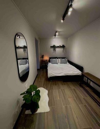 1 dormitorio con cama y espejo grande en ירוק במושב, en Ma‘oz Ẕiyyon