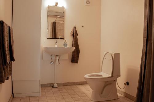 uma casa de banho com um WC e um lavatório em Berits Bed and Breakfast em Haderslev
