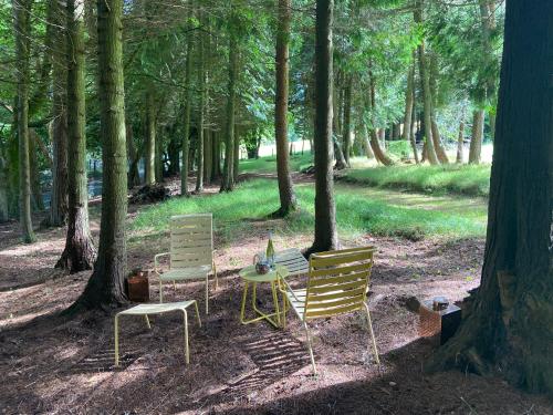 três cadeiras e uma mesa numa floresta em Willow Lodge em Dublin