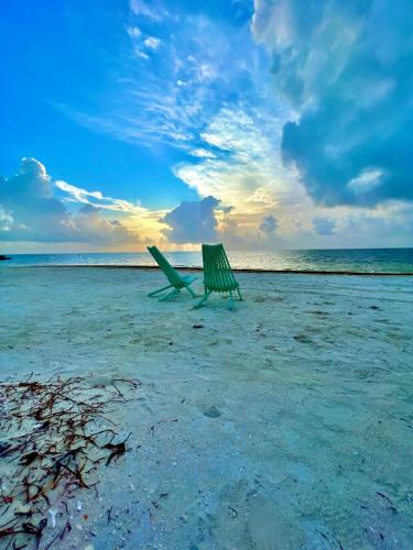 ein grüner Liegestuhl am Strand in der Unterkunft Blu Zen in Caye Caulker