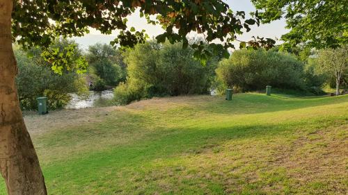a park with a river and trees and a grass field at על הירדן יזרעאלי in ‘Amir