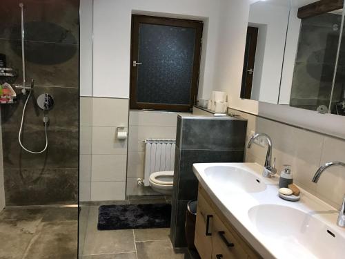 ein Bad mit einem Waschbecken, einer Dusche und einem WC in der Unterkunft Pension Kreuzjoch in Zell am Ziller